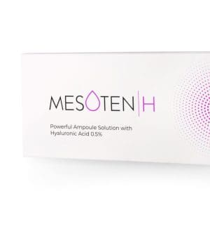 Mesoten H